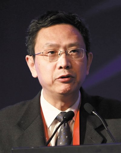 財(cái)政部財(cái)政科學(xué)研究所所長(zhǎng)賈康。圖/CFP