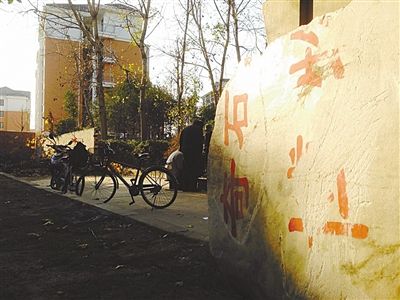 昨日，“上海奇石盆景博物館”原址上，已矗立起小區(qū)樓盤，而刻著博物館名的巨石，廢棄在一旁。本版圖片/新京報記者 張永生 攝