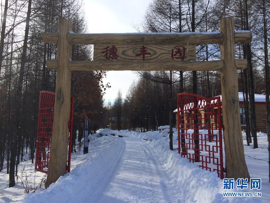 北山一隅的穗豐園（2013年12月8日攝）。新華社記者程子龍攝