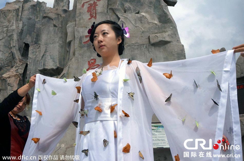 “蝴蝶仙子”身穿上百只剛剛扎死的蝴蝶。圖片來(lái)源：老祝/東方IC