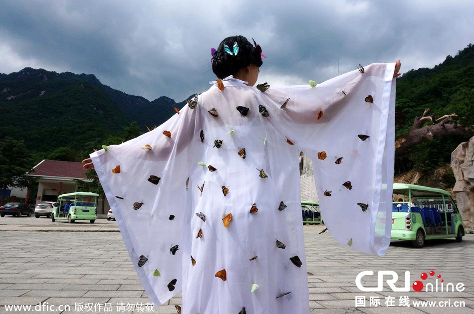 “蝴蝶仙子”身穿上百只剛剛扎死的蝴蝶。圖片來(lái)源：老祝/東方IC