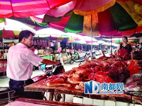  昨日，玉林垌口市場(chǎng)，一位市民在購(gòu)買狗肉。