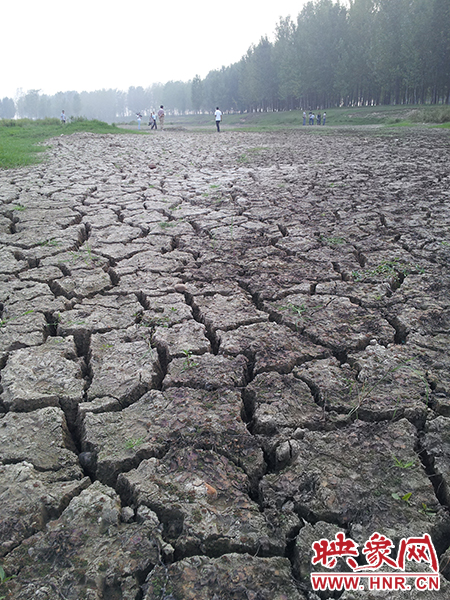 澎河匯入白龜山水庫(kù)處，河床已經(jīng)全部干裂，等待丹江水的到來(lái)。