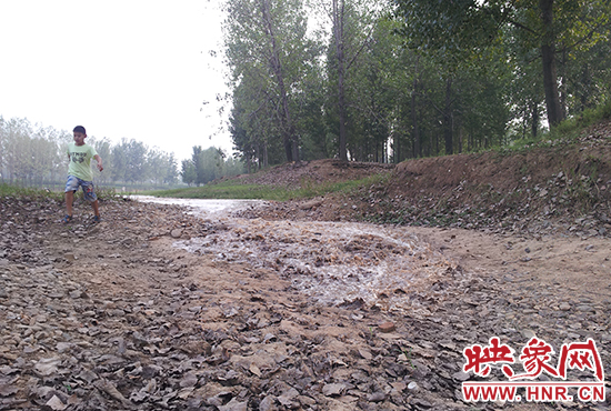 18日丹江水沿澎河流向白龜山水庫(kù)，孩子歡騰起來(lái)，跟著水頭奔跑。