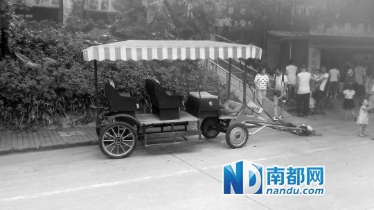 園方則稱解剖后發(fā)現(xiàn)馬死于心臟衰竭，“與累無關(guān)”。