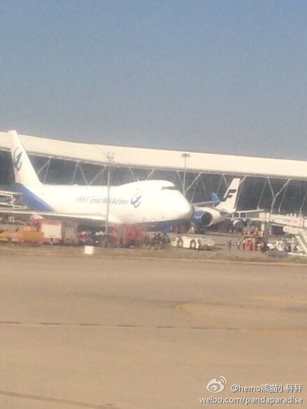 圖說：發(fā)生事故的飛機(jī)。圖片來源：新浪微博網(wǎng)友圖（請私信“新民晚報(bào)新民網(wǎng)”以奉稿酬）