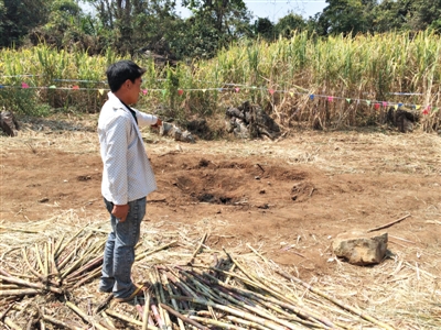 昨日，在大水桑樹村，村民向記者展示13日造成5死8傷的炸彈事件彈坑。