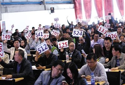 競拍者正在練習舉牌動作，以便拍賣時讓工作人員看清號牌。