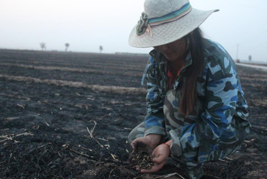 村民們眼巴巴看著豐收的小麥“葬身”火海，心疼不已。
