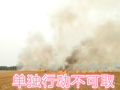不要單獨一個人亂沖亂打：單獨行動被煙氣沖昏倒地，無人發(fā)覺被燒；