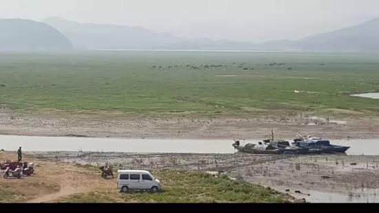 2015年10月27日，“冬季到湖區(qū)看草原”是近年來(lái)鄱陽(yáng)湖生態(tài)濕地興起的旅游項(xiàng)目。江西省星子縣鄱陽(yáng)湖邊，進(jìn)入枯水期的鄱陽(yáng)湖，“草原”風(fēng)光已經(jīng)取代碧水連天，遠(yuǎn)處有牛群吃草。 新華社記者郭雅茹 攝