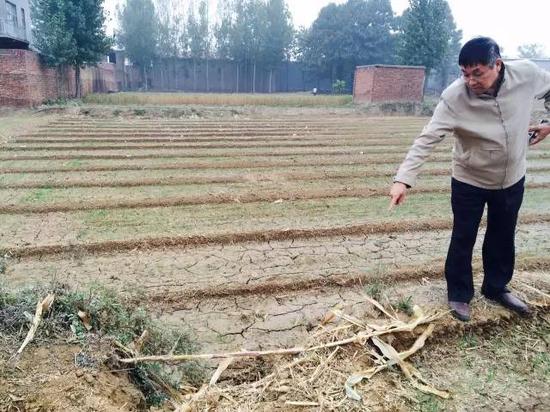 2015年10月20日，河北省柏鄉(xiāng)縣地下水超采區(qū)，地面沉降，大地出現(xiàn)8公里長(zhǎng)的裂縫，最寬處有1米寬。農(nóng)民用土填上裂縫，但是一下雨又會(huì)塌陷。新華社記者郭雅茹 攝