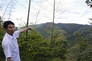 村民吳學(xué)田告訴記者，對面兩座山就是潘建友承包的部分山場 見習(xí)記者 邱一文 攝