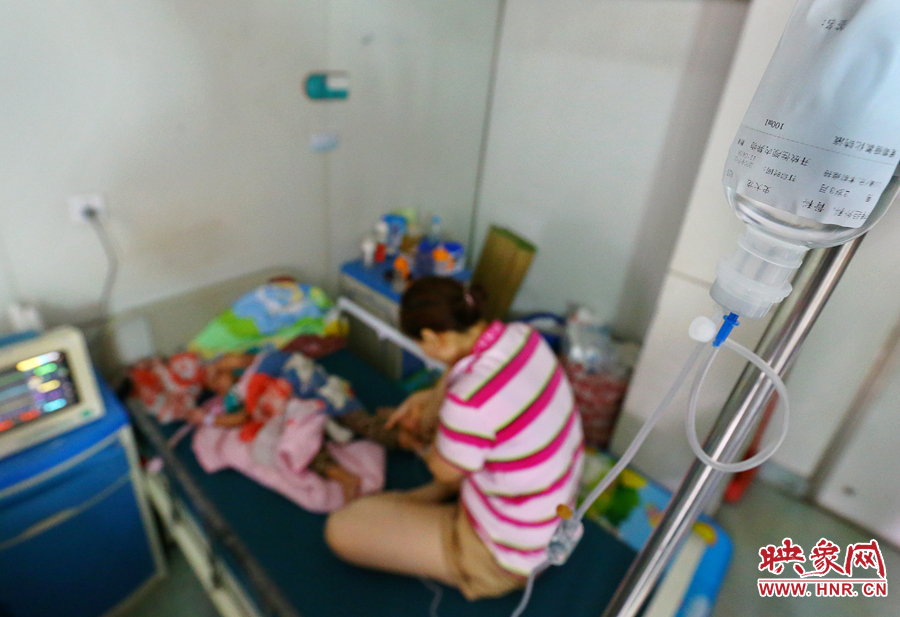 早上7點(diǎn)左右，醫(yī)生為大龍輸液做術(shù)前準(zhǔn)備