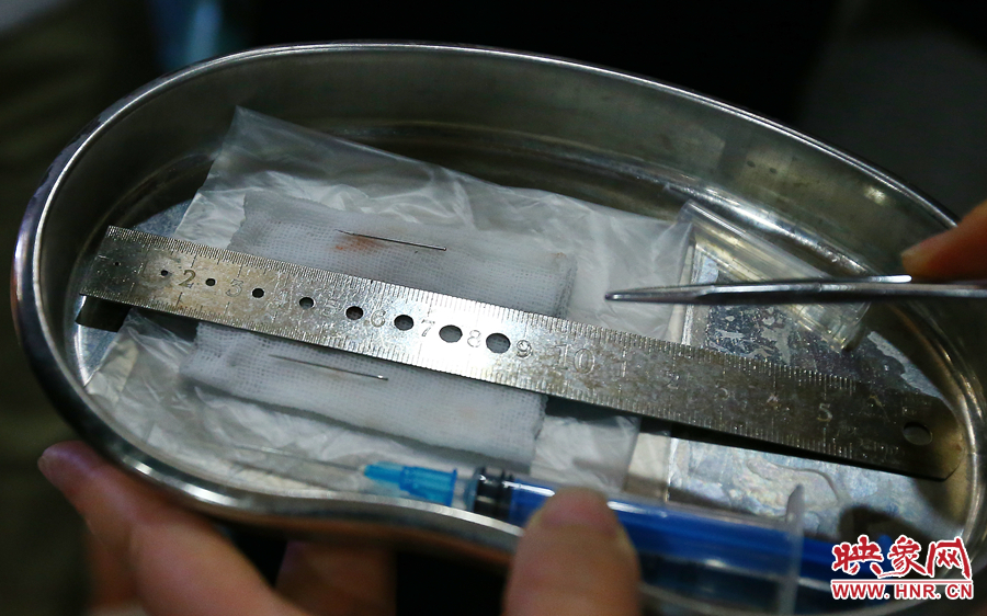 大龍顱內(nèi)取出的鋼針（上）和小龍顱內(nèi)的一樣（下），均為2.5厘米