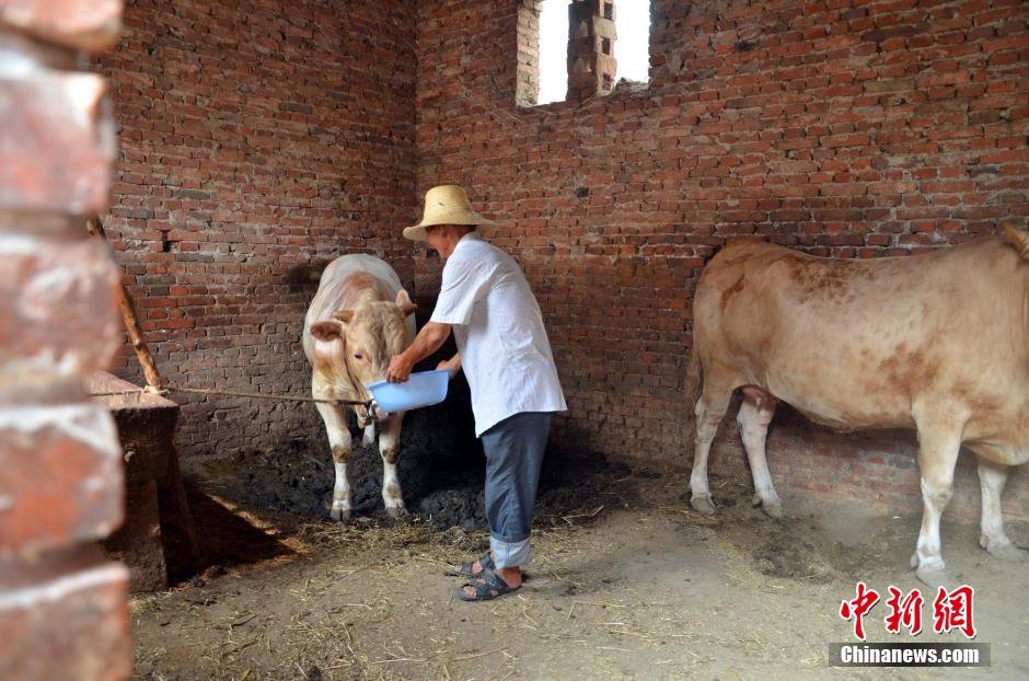 同時(shí)，地下水位的持續(xù)下降以及部分山泉水的干涸，已造成全縣2.85萬人和2000頭大牲畜出現(xiàn)飲水困難。