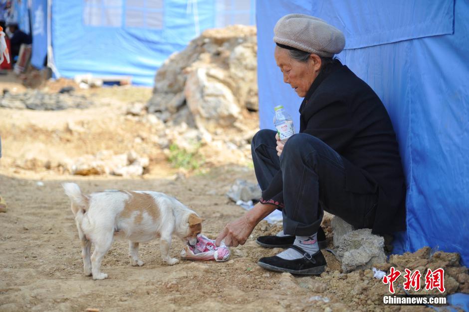 8月6日，一名老人將剛領(lǐng)到的礦泉水分給小狗。