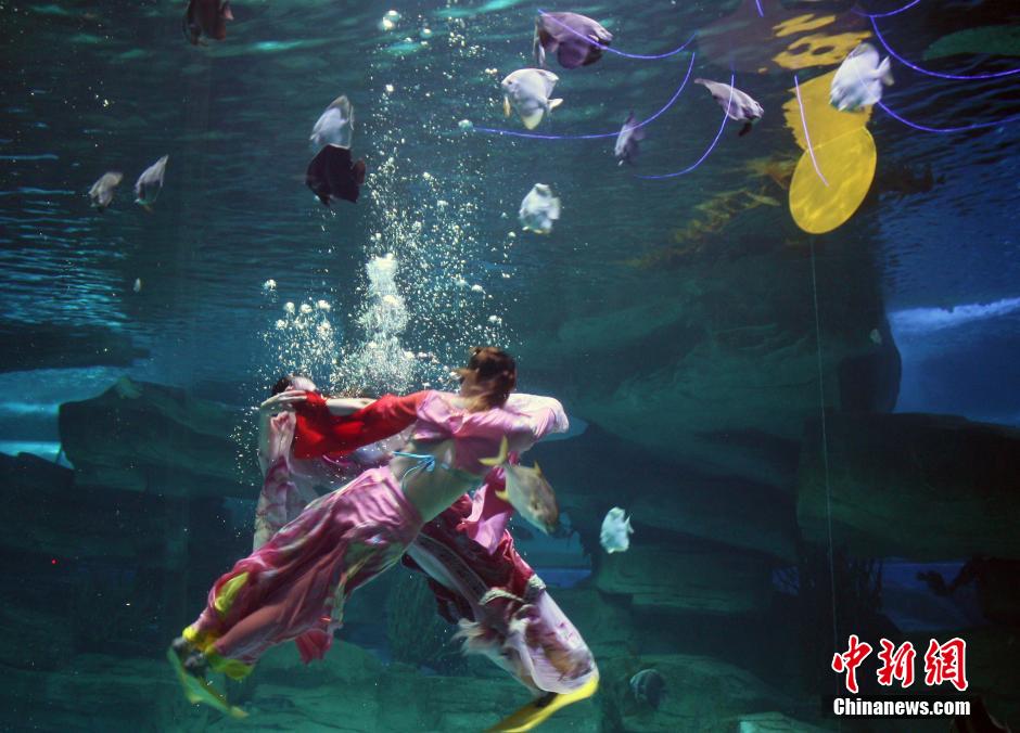 9月7日，在中秋節(jié)到來(lái)前一天，山東泉城海洋極地世界為游客帶來(lái)“嫦娥水中奔月”表演。