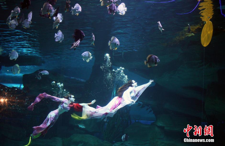 9月7日，在中秋節(jié)到來(lái)前一天，山東泉城海洋極地世界為游客帶來(lái)“嫦娥水中奔月”表演。