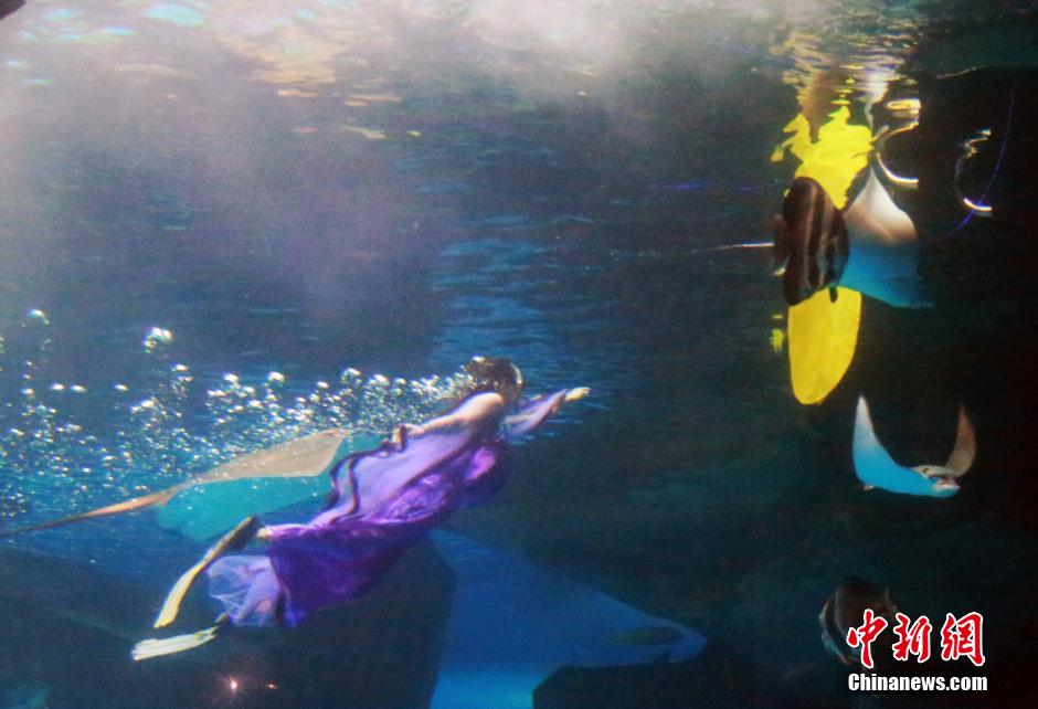 9月7日，在中秋節(jié)到來(lái)前一天，山東泉城海洋極地世界為游客帶來(lái)“嫦娥水中奔月”表演。