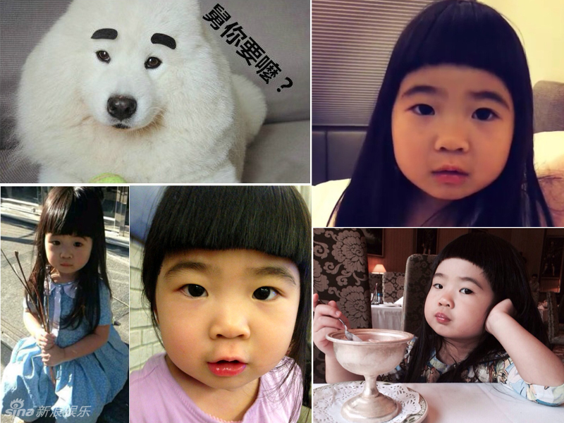 不小心就撞臉了！盤點動物界的明星相