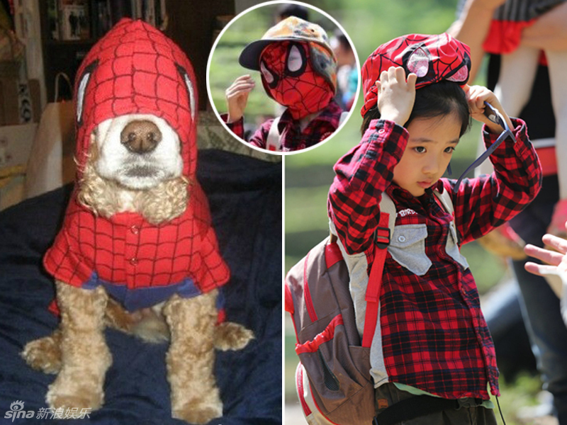 不小心就撞臉了！盤點動物界的明星相