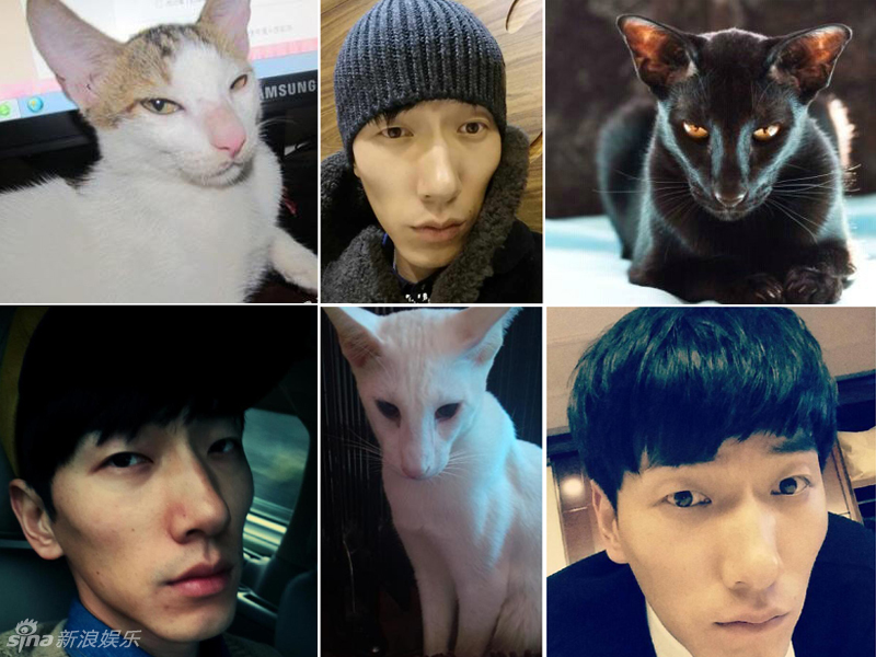 不小心就撞臉了！盤點動物界的明星相