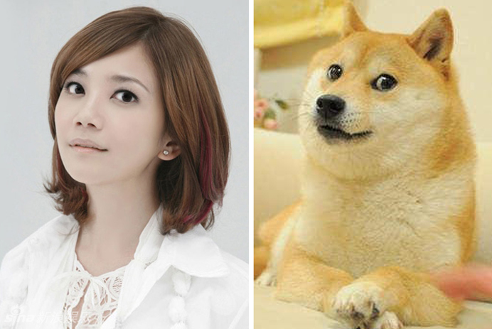 不小心就撞臉了！盤點動物界的明星相