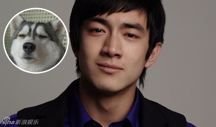 不小心就撞臉了！盤點動物界的明星相