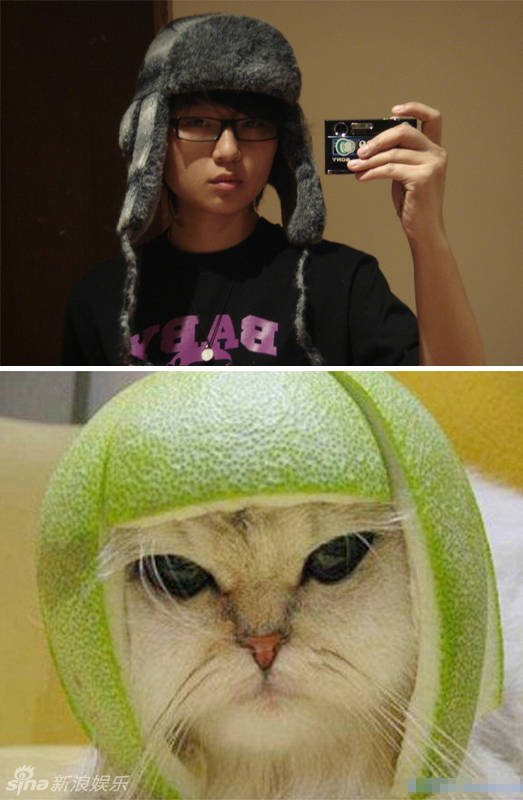 不小心就撞臉了！盤點動物界的明星相