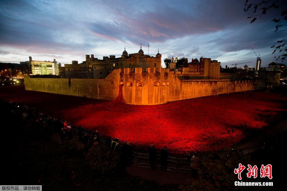 當(dāng)?shù)貢r(shí)間2014年11月10日，英國(guó)倫敦，倫敦塔周邊“種植”了888246朵陶瓷材質(zhì)的罌粟花，以此紀(jì)