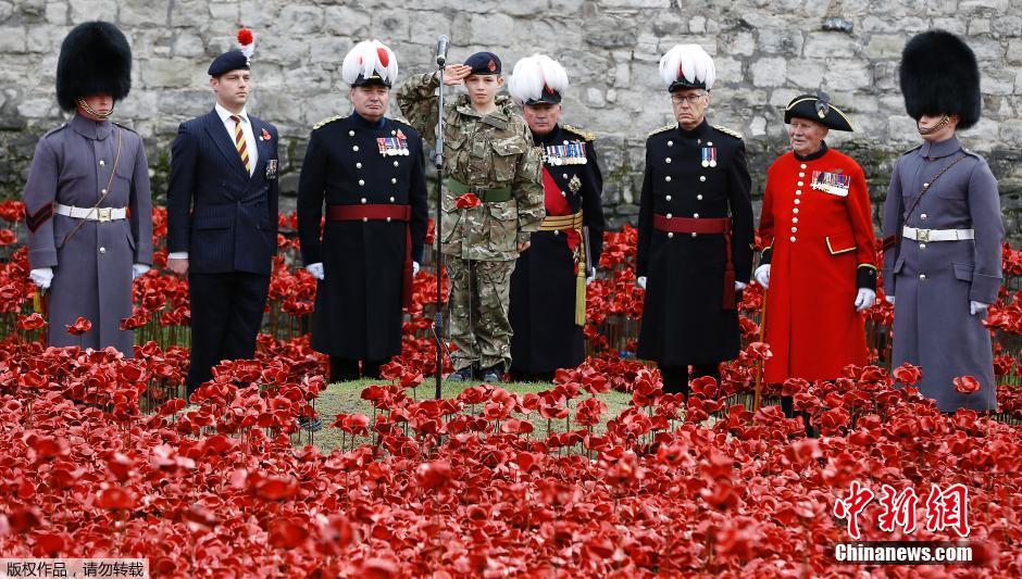 當(dāng)?shù)貢r(shí)間2014年11月10日，英國(guó)倫敦，倫敦塔周邊“種植”了888246朵陶瓷材質(zhì)的罌粟花，以此紀(jì)