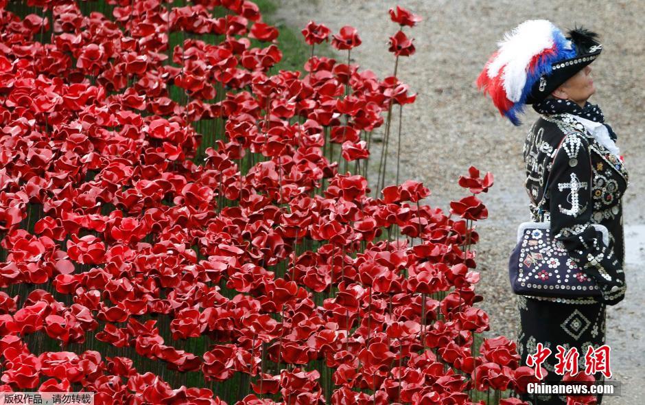 當(dāng)?shù)貢r(shí)間2014年11月10日，英國(guó)倫敦，倫敦塔周邊“種植”了888246朵陶瓷材質(zhì)的罌粟花，以此紀(jì)