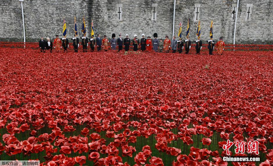 當(dāng)?shù)貢r(shí)間2014年11月10日，英國(guó)倫敦，倫敦塔周邊“種植”了888246朵陶瓷材質(zhì)的罌粟花，以此紀(jì)