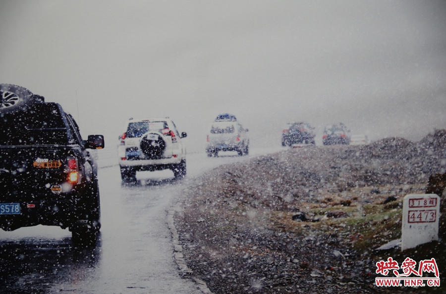 賽車的世界、更是男人的世界。圖為部分參展攝影作品。