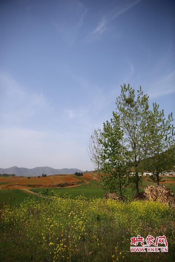 庫區(qū)的藍(lán)天、白云、綠樹、黃花給人清新的享受