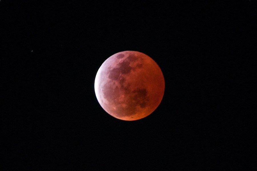 4月4日，福州上空出現(xiàn)紅月亮。楊婀娜/CFP