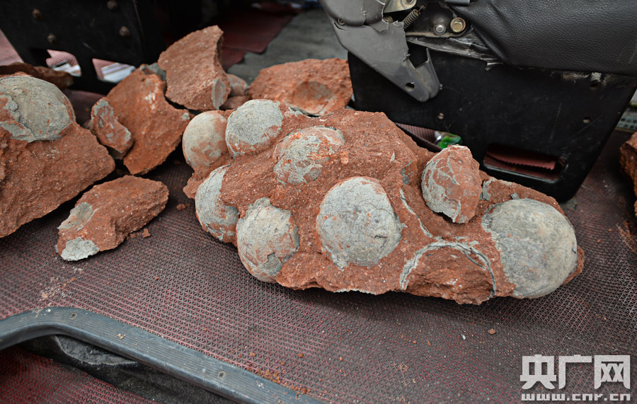 其中完整的19枚，都是直徑約13厘米的“大個(gè)子”。