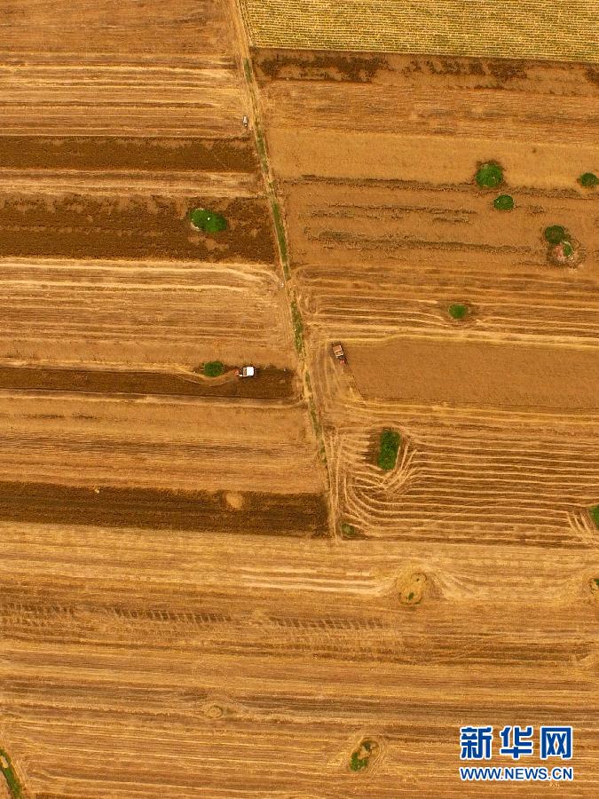 這是5月28日在河南省南陽(yáng)市唐河縣甘河灣村航拍的麥?zhǔn)宅F(xiàn)場(chǎng)。