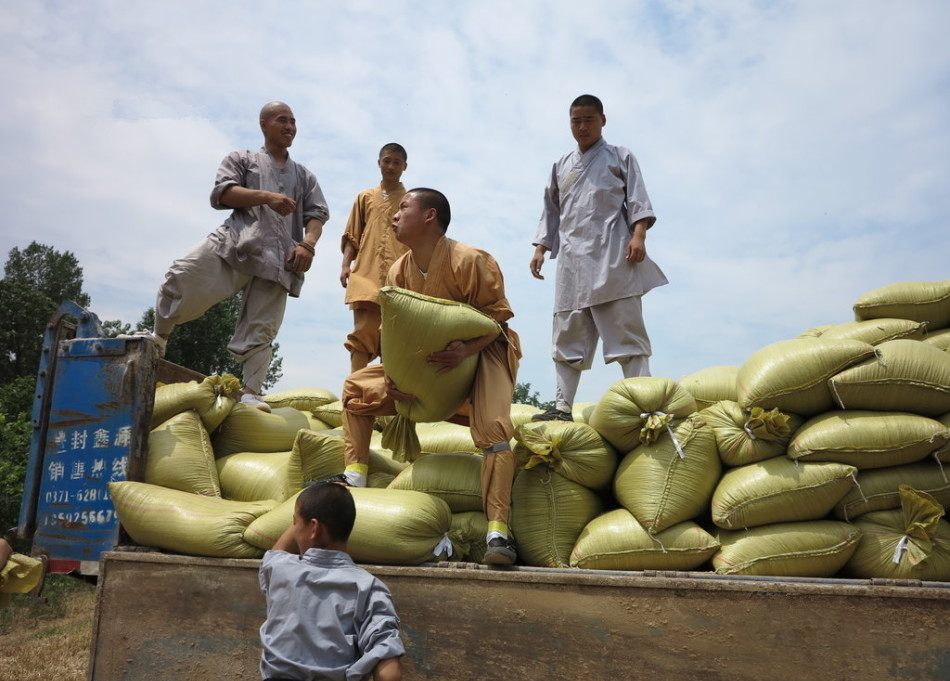 武僧將打包后的糧食集中至運(yùn)輸車(chē)輛上。