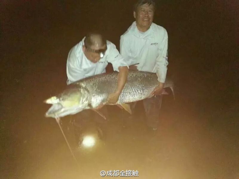 圖為大魚需要兩個(gè)人抱起。
