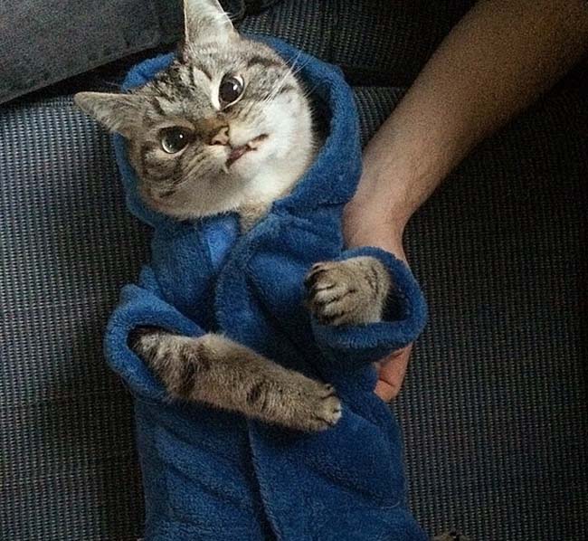 身穿浴袍的Loki好像看起來也沒那么兇哦。