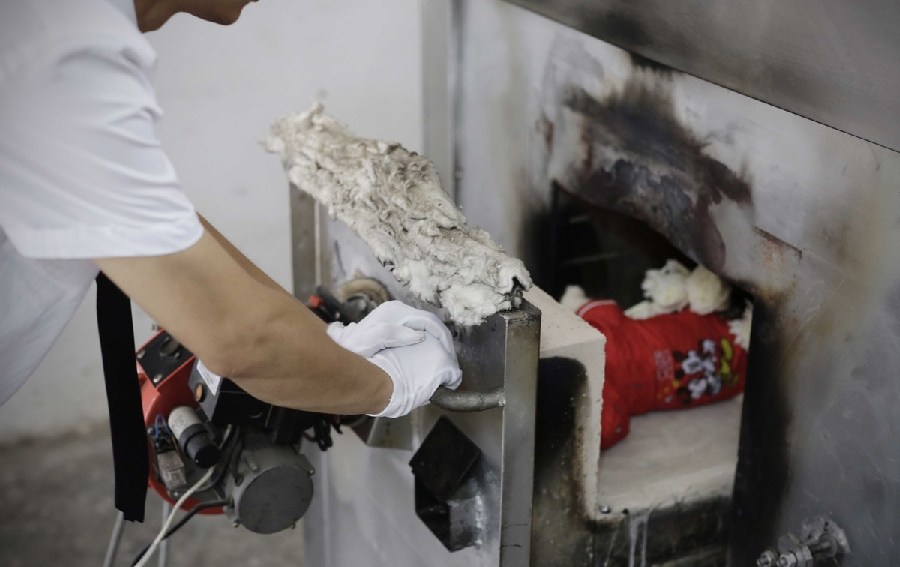 工作人員將狗狗推入火化爐。