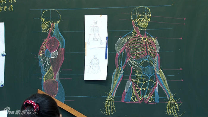 組圖：臺(tái)灣男教師板書(shū)逆天 人體骨骼圖堪稱完美