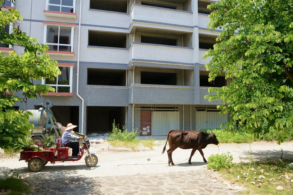 2016年7月26日，村民在廣西來賓市忻城縣隆達(dá)山水福城荒廢別墅間放牛。