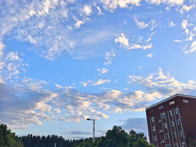 又被鄭州的藍天刷屏！隨便一拍就是手機壁紙