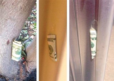 “隱藏的鈔票”會被神秘人藏在公園、廁所等“奇怪的地方”。