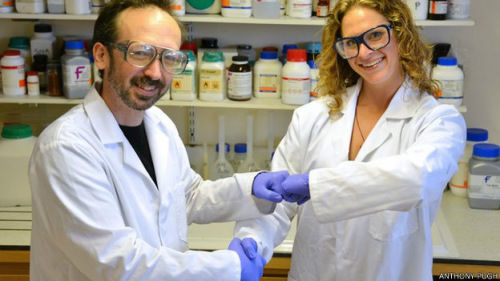 英國科學(xué)家呼吁用碰拳取代握手 減少病菌傳播 英國科學(xué)家呼吁用碰拳取代握手 減少病菌傳播