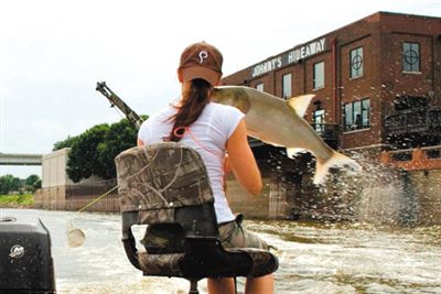 亞洲鯉魚突然躍出水面，對游客“發(fā)動襲擊”。