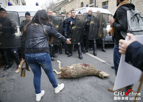 　　當(dāng)?shù)貢r間2014年11月27日，法國巴黎，法國農(nóng)民帶綿羊在埃菲爾鐵塔附近抗議，要求環(huán)保部門采取有效措施解決狼群襲擊羊群問題?！D片來源：TRICK KOVARIK/CFP